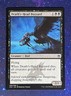MTG, Death’s-Head Buzzard, Masters 25 084/249 Common Regular
