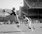 New York Giants Frank Gifford 8x10 Photo Nfl Football Print