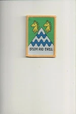 Epsom and Ewell patch