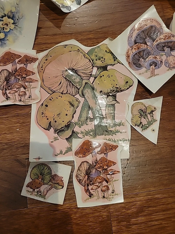 Lote de 100+ calcomanías de flores de hongos transferencia años 70 tamaños surtidos  Foto 3 de 4