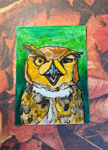 "wtf" Funny Owl Bird Original Watercolor Bird ACEO Art Card by KayshaLacyArt