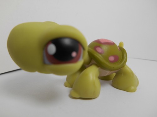 LPS Littlest petshop pet shop chien chat européen colley cat dog rare accessoire - Imagen 50 de 190