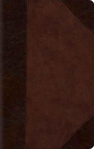 ESV Large Print Compact Bible, Red Letter - 9798874902957