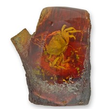 Un fossile artificiel d'ambre représentant un crabe réplique design rétro décora