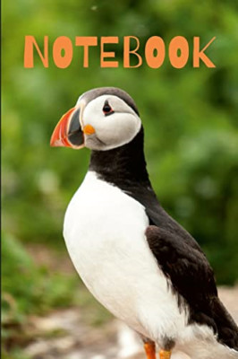 Puffin Notebook - Paperback NEW Vance, Toby 18/07/2022