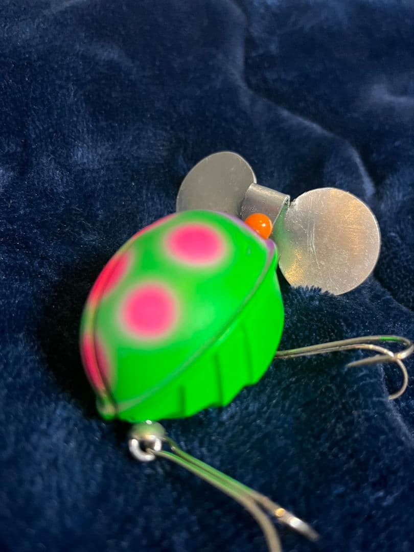 Frog s Ladybug - Image 3