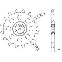 Ritzel P520 - Z13 (DIS.22401)