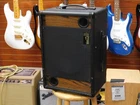 Raezer's Edge Jack Grassel Stealth 10 Guitar Speaker Cabinet