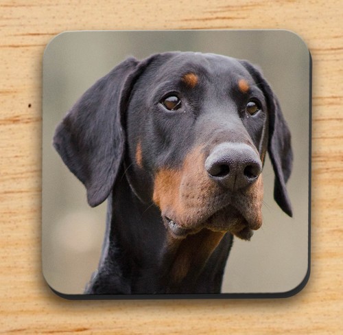 Taza Doberman, Llavero, Posavasos - Raza de Perro, Regalo Navidad/Cumpleaños - Imagen 6 de 6