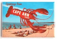 Greetings from Cape Ann Massachusetts FRIDGE MAGNET travel souvenir "style B"