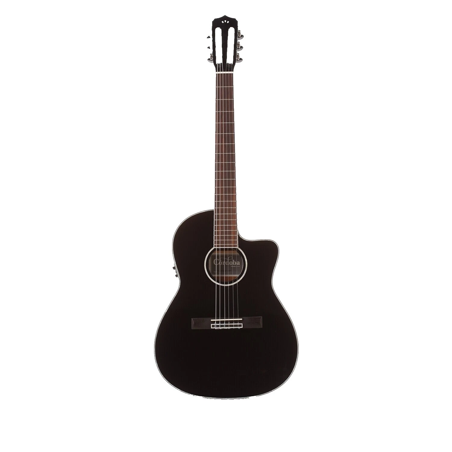 5 String Acoustic Electric Guitars