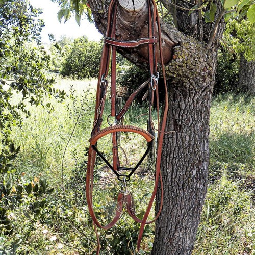 Rênes équitation cuir grip Cheval - 500 marron