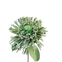 Artplants KüNstliches Nadelkissen Protea Islartina, GrüN-Blau, 75Cm