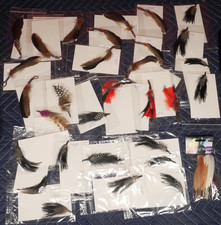 Lot of 54 Assorted Colorful Feathers for Garment Design/Creation, Arts  Crafts