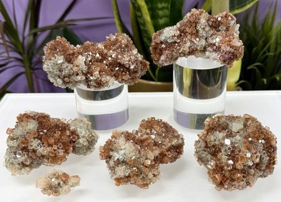 Wholesale Lot 2 Lbs Natural Aragonite Cluster Crystal Healing