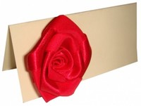 10 X Platzkarten Namenskarten Tischkarten Hochzeit Kommunion Konfirmation PK010