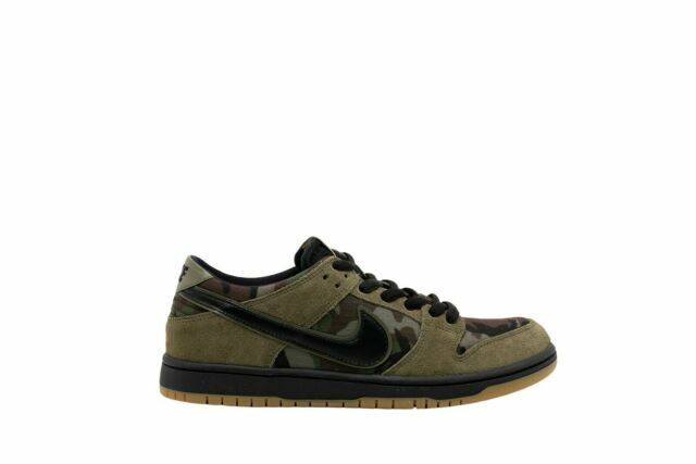 zoom dunk low pro