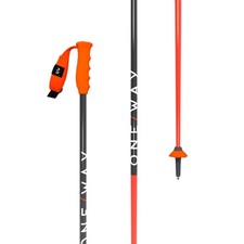 Fischer One Way RD GS Junior Kid's Alpine Ski Poles, Grey/Flame, 105cm MY26