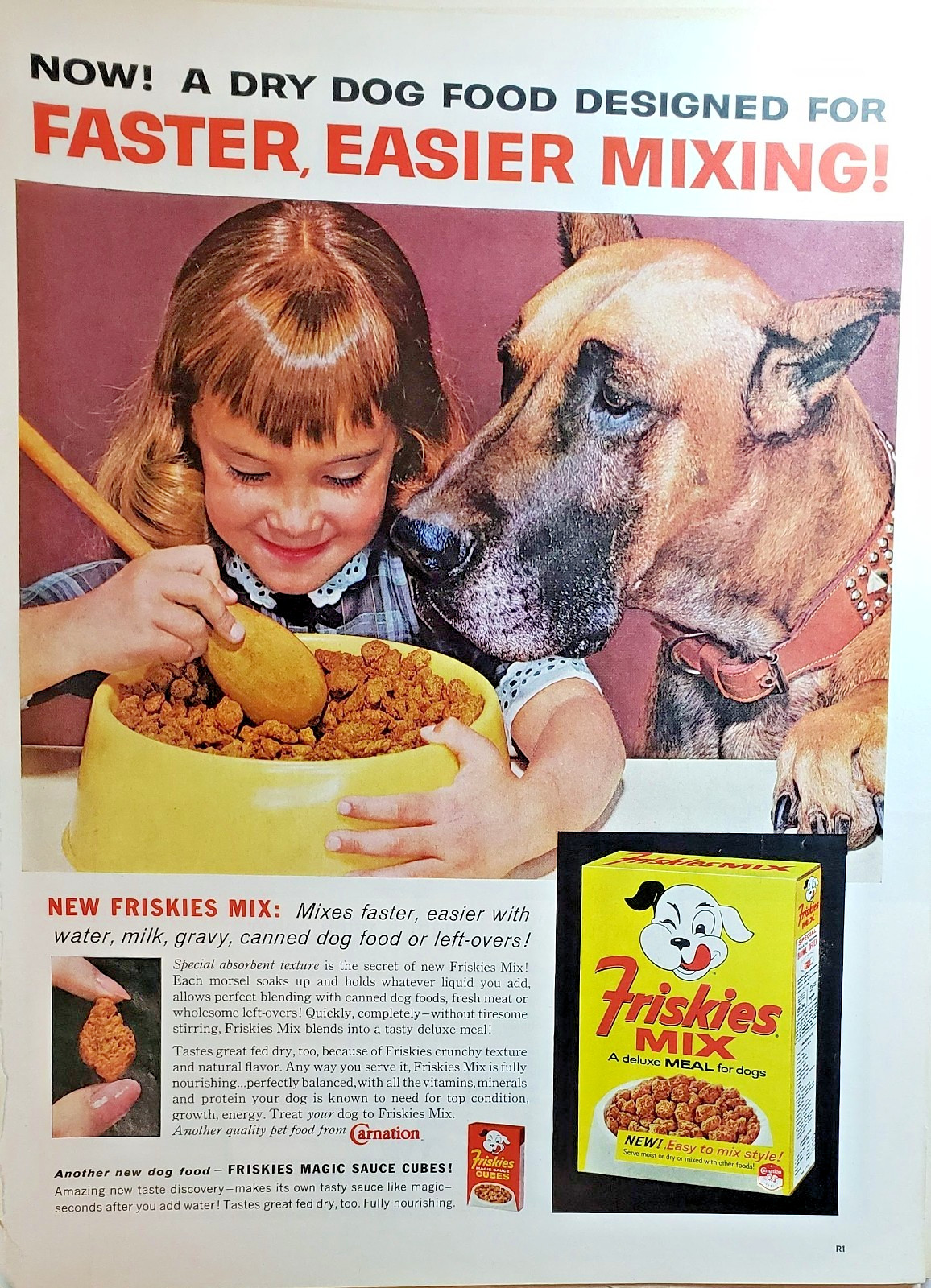 Print Ad 1962 Ephemera Wall Art Decor Great Dane