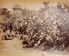 Palermo, uomo in abiti tradizionali in campo di fichi d'india, albumina 1880 Ca.