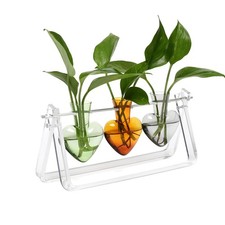 Clear Plant Terrarium Propagation Stations with Acrylic Stand Birthday Gifts ...
