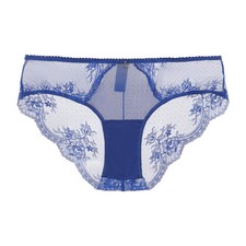 Lace Mesh Cheeky Panties