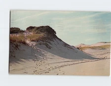 Postcard Sand Dunes Outer Cape Cod Massachusetts USA North America
