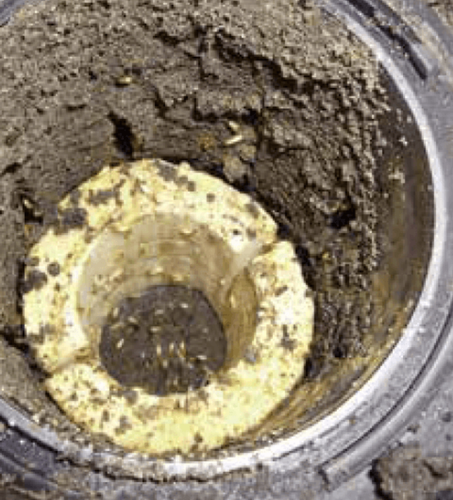 Trelona Timber Insert - for ATBS station (or other brand) x 10 - Picture 2 of 5