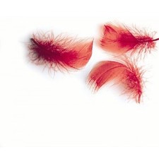 Indian Crow Feathers for fly Tying, Red feathers Fly Tying Feathers