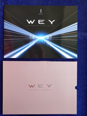 WEY VV5s VV7s Hi4 P8 XEV brochure IAA 2019 with paper slipcase