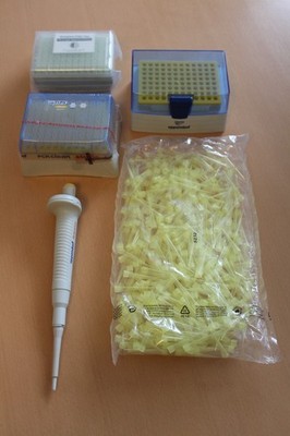 Kolbenhub - Pipette, Eppendorf Reference, 100 µl, + Spitzen. Gebraucht.