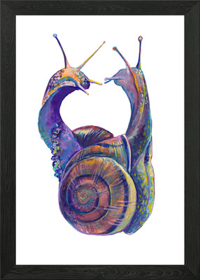 Snail Romance Framed Wall Art Poster Canvas Print Picture