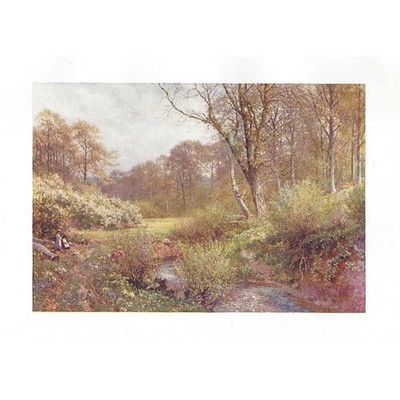 OCKLEY Surrey, In Spring Woods - Antiker Druck 1906