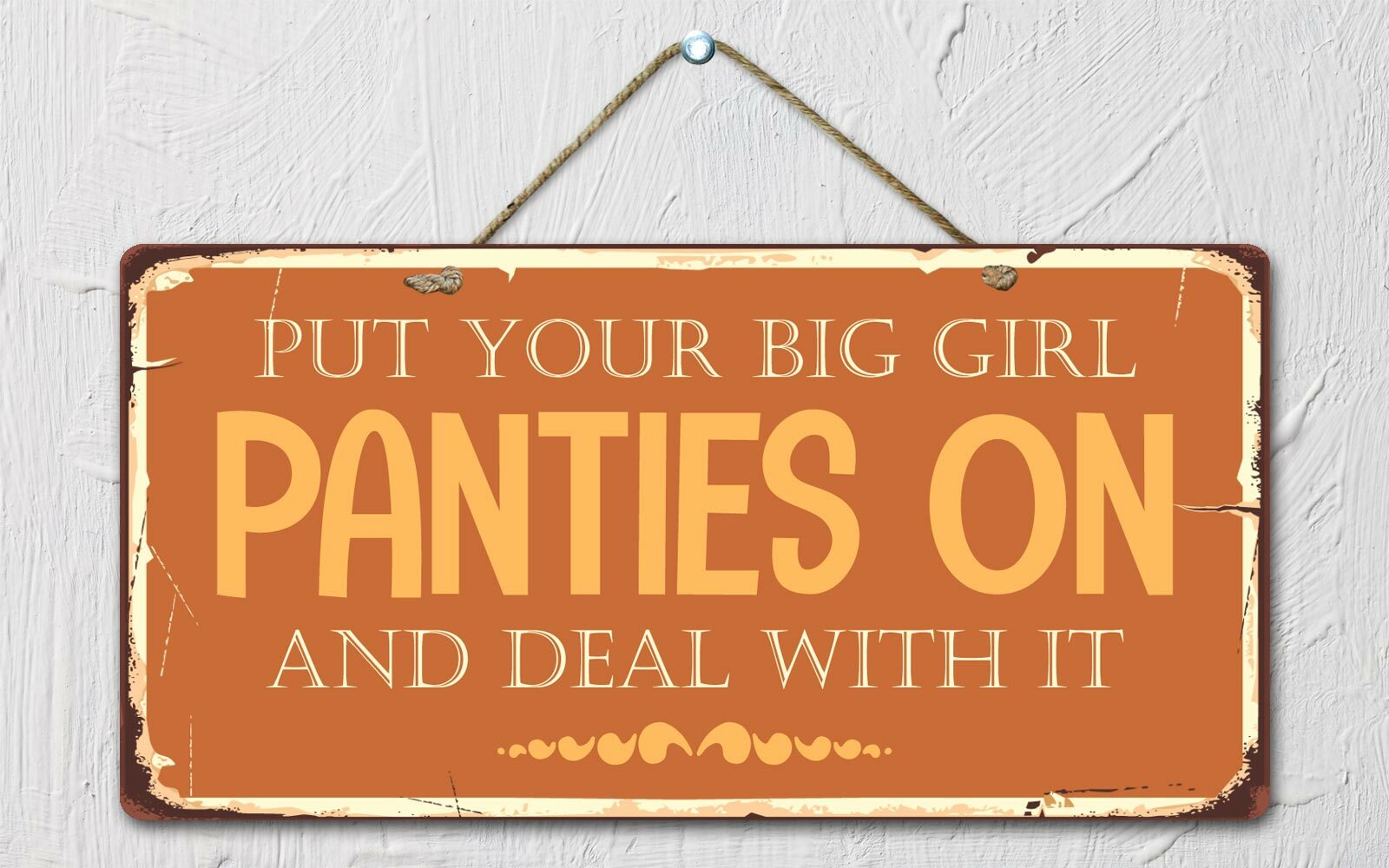 2457HS Put Your Big Girl Panties On And Deal With It 5"x10" Novelty