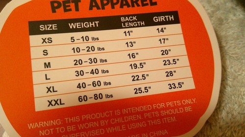 Hello Pumpkin Size Medium Pet Apparel New With Tag - Picture 3 of 3