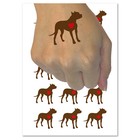 American Pit Bull Terrier Dog with Heart Temporary Tattoo Water Resistant Set