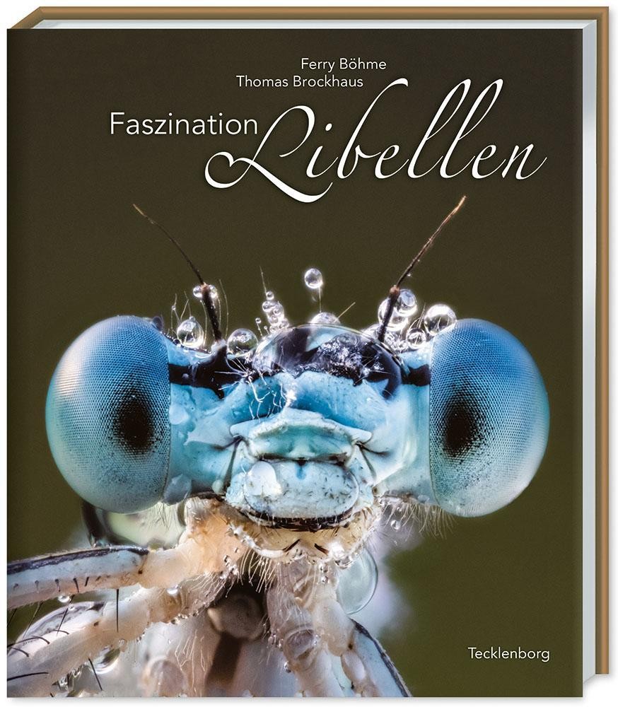 Faszination Libellen Ferry Böhme