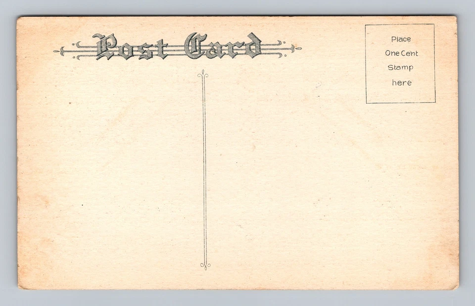 Postal completa de 1900 Hatch of Healthy Chicks Uncle Sam Cleveland Ohio OH Foto 2 de 4