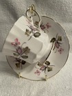 260e Elizabethan Pink & Grey/Dark Green Leaves FBC Tea Cup & Saucer — photo 1