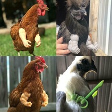 Arms For Chicken 3D Printed, Fist Arms Meme, Thumbs-Up Chicken Decoration NEW AU