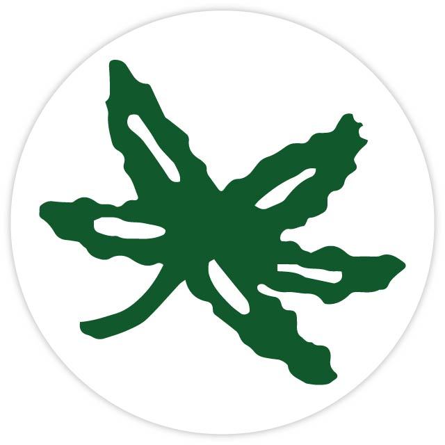 Ohio state buckeye leaf bumper sticker decal car wall laptop eBay