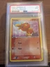 Torchic