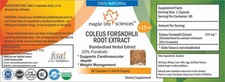 Coleus Forskohlii 20 Forskolin Extract Pure  High Quality