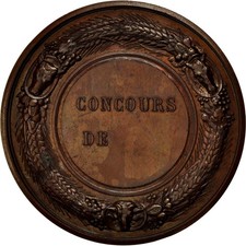 France, Médaille, Comice Agricole de Marle (Aisne), SUP+, Cuivre