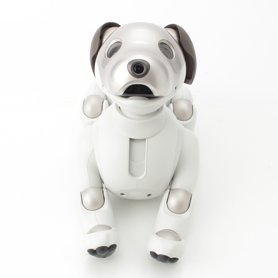 aibo本体 アイボ ERS-1000 ロボット犬 2019年正規購入 Sony aibo ERS-1000 AI Robot Dog Basic White w/ Charger Ball Box