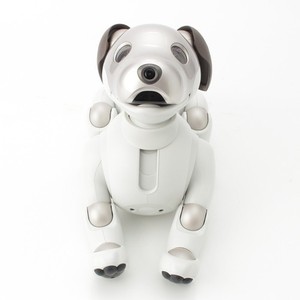 Sony Aibo Ers 1000 | eBay