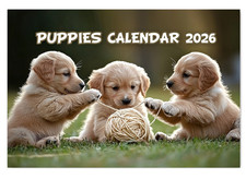 2026 Animal Calendar A4 - Funny & Cute Animal Wall Calendar, 12 Month Wildlife