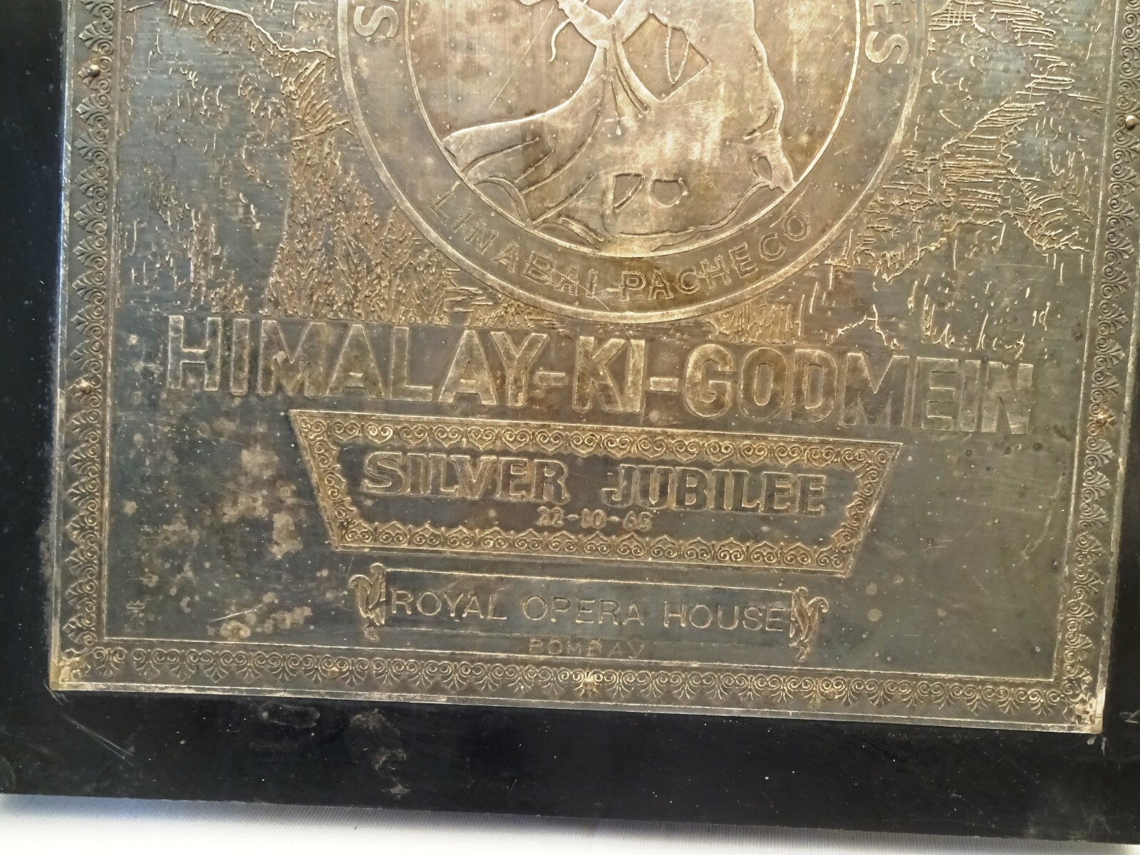 Picture 5 of 12