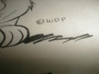 Bild 8 von 12