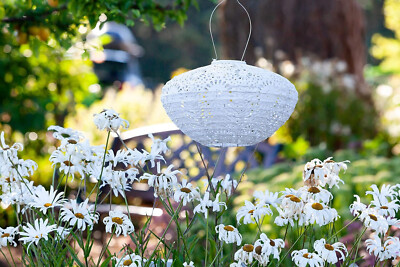 13'' Chantilly Lace Solar Lantern